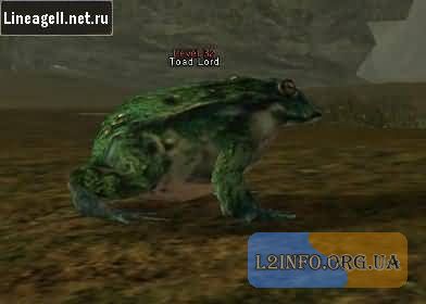 toadlord.jpg (13.01 Kb)
